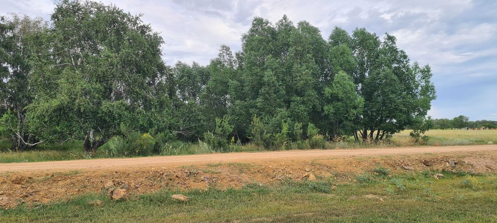 Продам участок в лесу в Астане