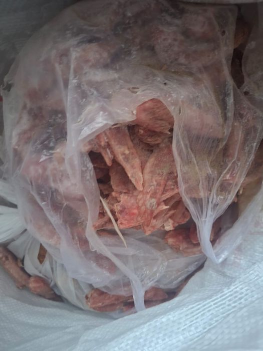 Итке тамақ сатылады отходы