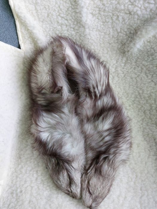 Яка от #лисица сребърна нова