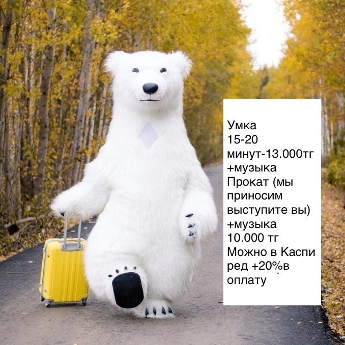 Аниматоры прокат и выступление