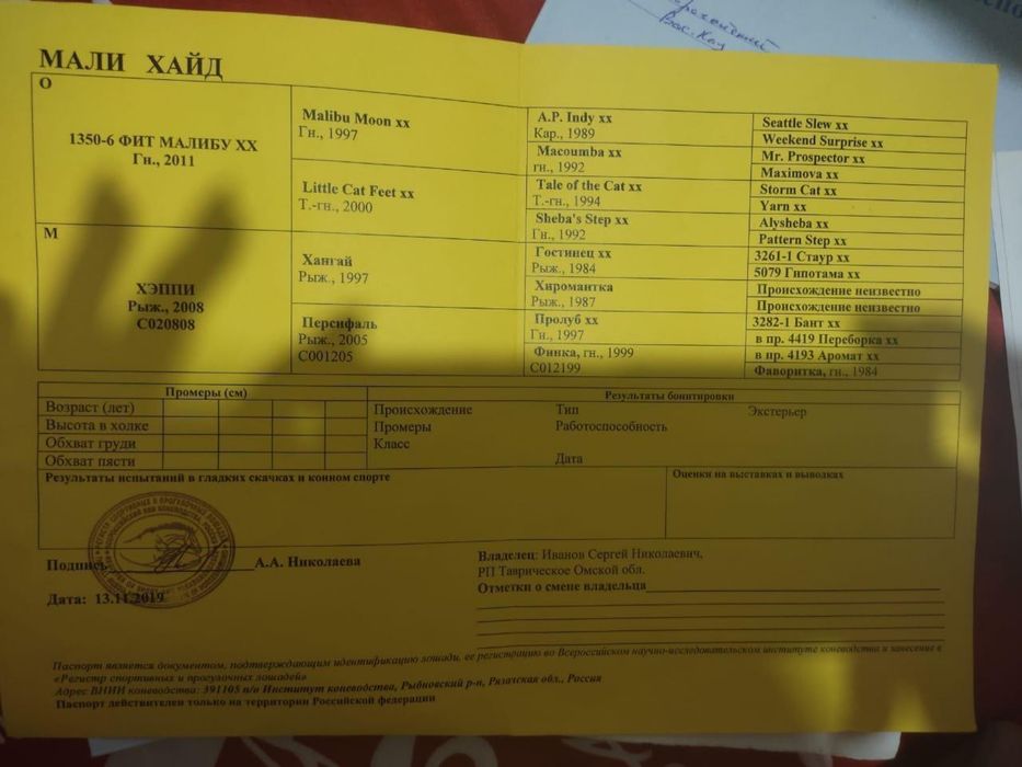 Продам чистокровного коня