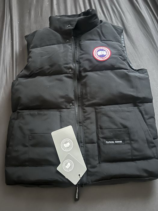 Vesta canada goose