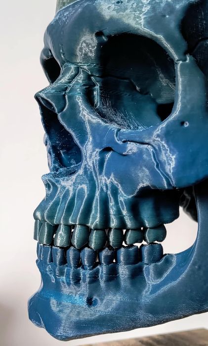 3D принтиран анатомичен череп – детайлен и стилен декор