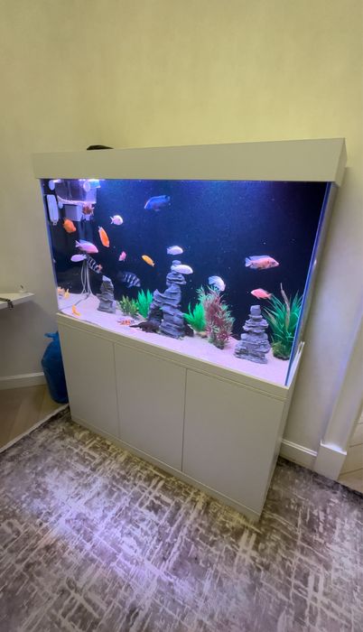 Аквариум на заказ / Akvarium ishlab chiqarish