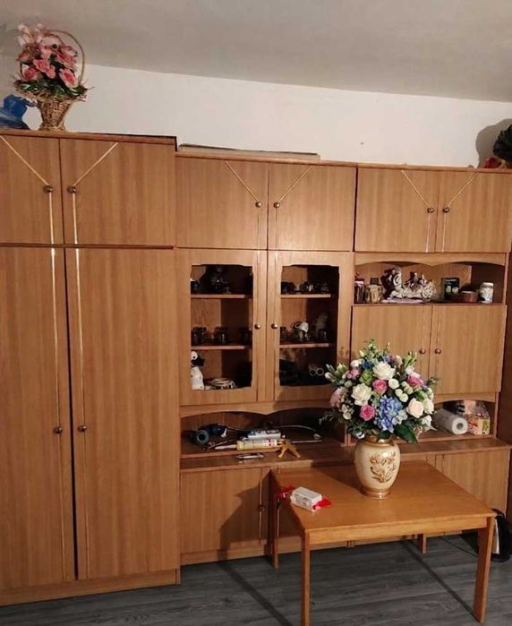 Apartament de vanzare copsa mica
