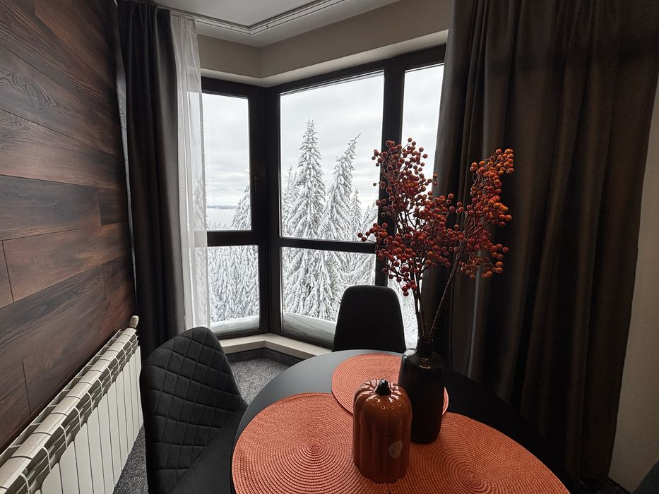 Студиа в Пампорово