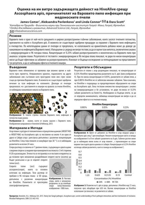 Hive Alive, Хайфа Лайф - Против Нозематоза по Пчелите , Силни Пчели