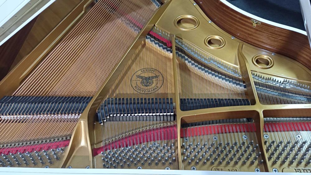 Vand pian Euterpe by C. Bechstein (ca nou)