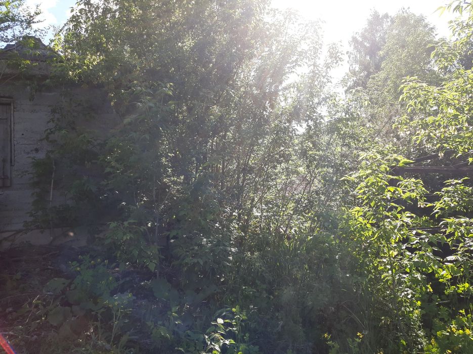 Продам дачный участок