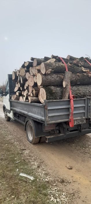 Lemne de vânzare Județul Arad