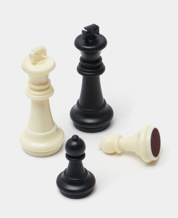 Шахматы магнитные