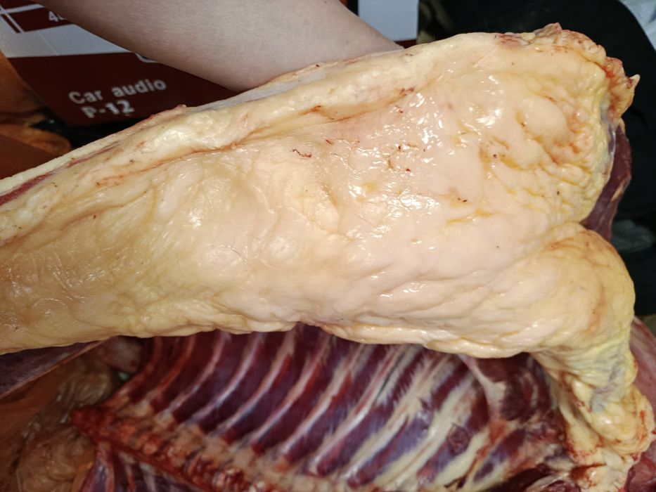 Соғым жабағы сатылады!!!