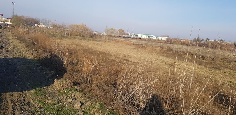 Kuchmas mulk sotiladi.