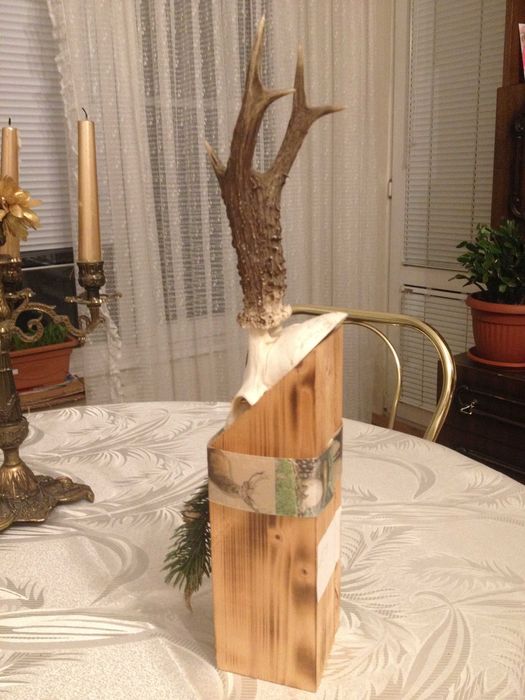 Красиви немски трофеи сръндак, трофей, документ