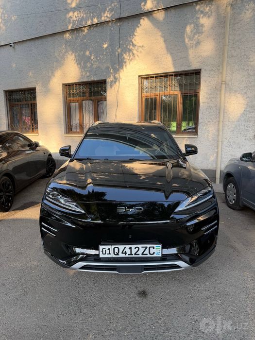 BYD Chimpion Smart
