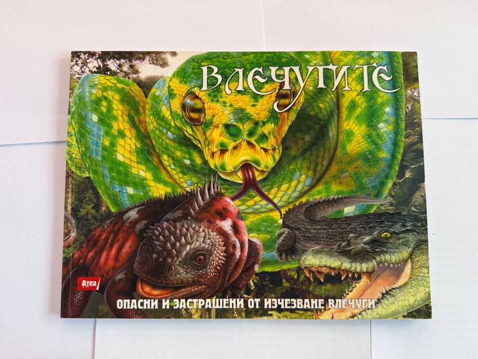 8 детски енциклопедии – животни, дракони, влечуги, бойни машини