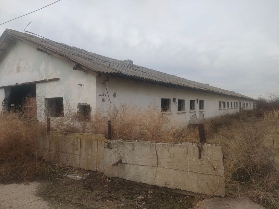 Vand ferma cu 2 grajduri (65 x 13)  fiecare. Suprafață totală 4500m2.