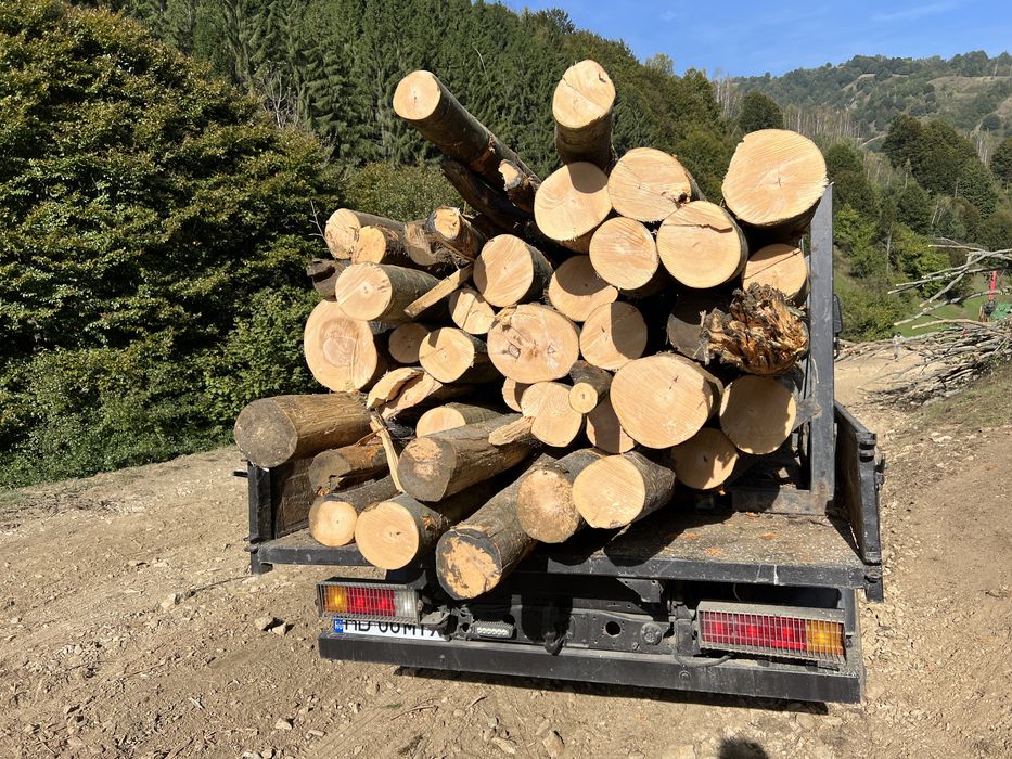 Lemn de foc material lemnos