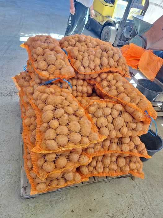 Cartofi de Vânzare - Albi și Roșii - Direct de la Producător