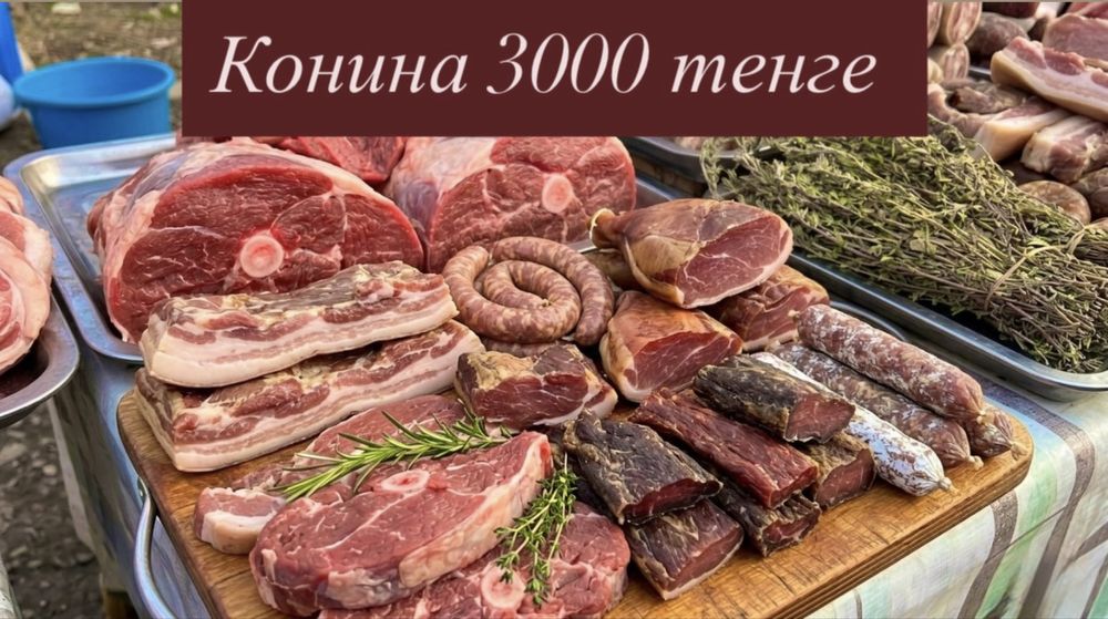 Свежая домашняя конина из Шымкента!