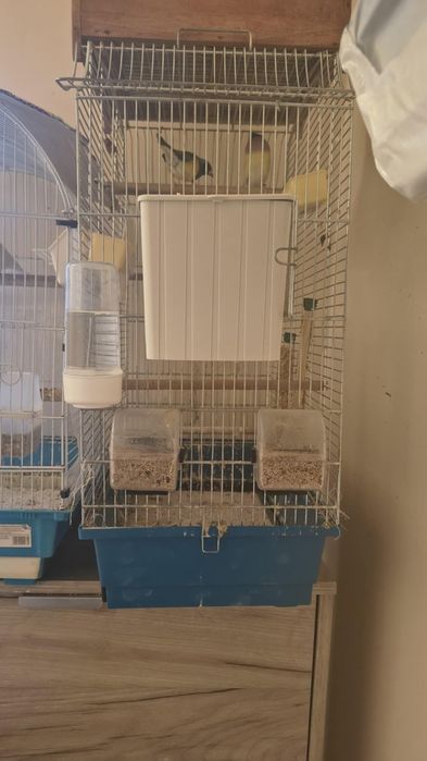 Vând 3 colivii pt papagali