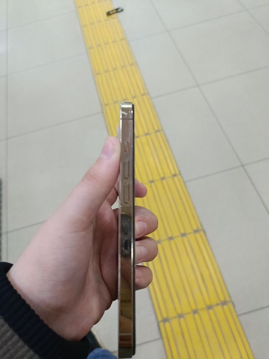 iPhone 13 Pro satylady