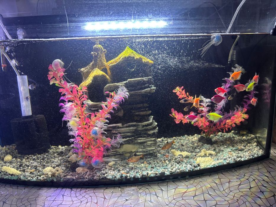 Продам аквариум с рыбками в хорошем состоянии