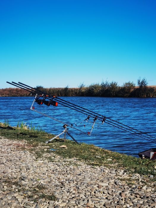 Set complet pescuit crap Dancu • OLX.ro