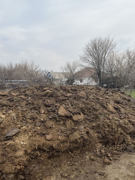 бесплатно навозз