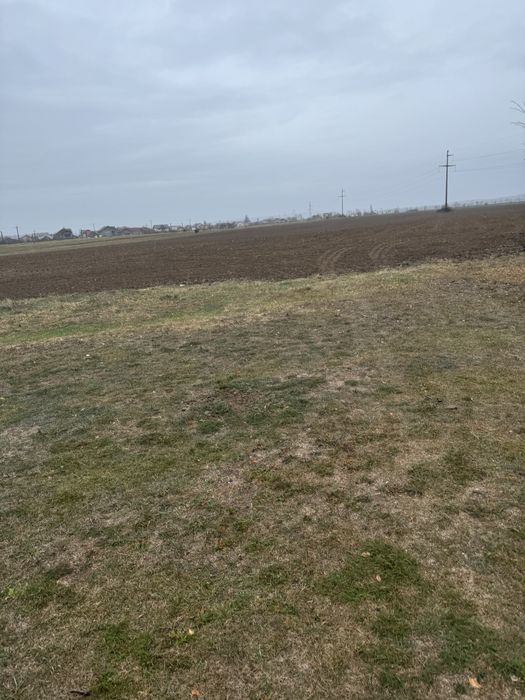 Teren extravilan Bucov nr cadastral 26416