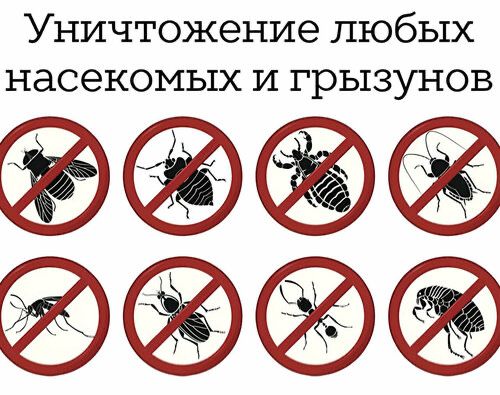 Дезенфекция дизенфекция дезинфекция дизинфекция dizinfeksiya