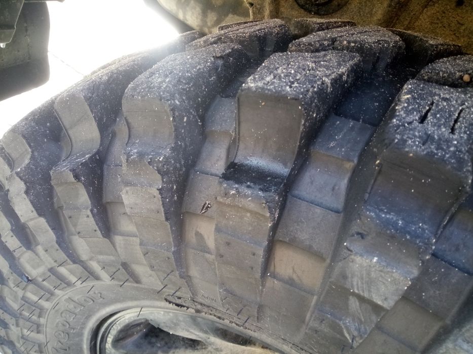 Trepador Maxis гуми