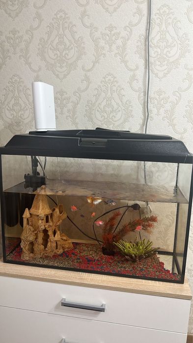 Продается аквариум.