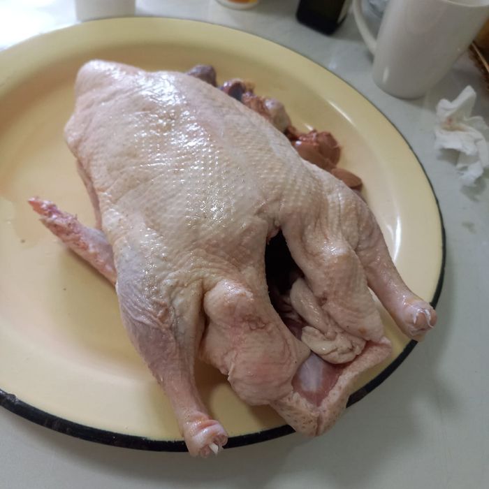 Утка домашняя продам