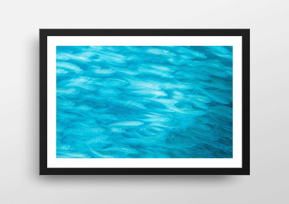 А5/А4/А3 Професионални фотографски принтове на България и света