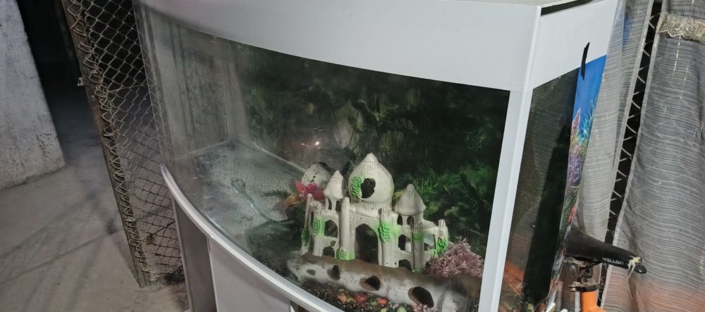Аквариум продается 100л