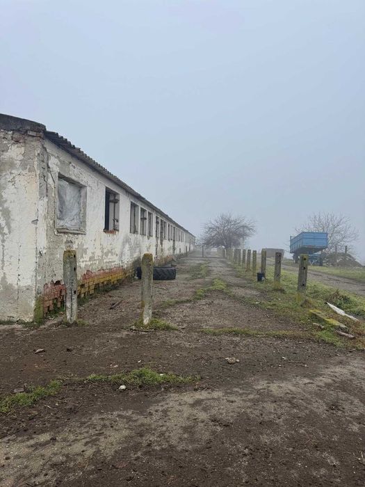 Vand/inchirez, teren si constructie in Podu Turcului/ Balanesti DN11A