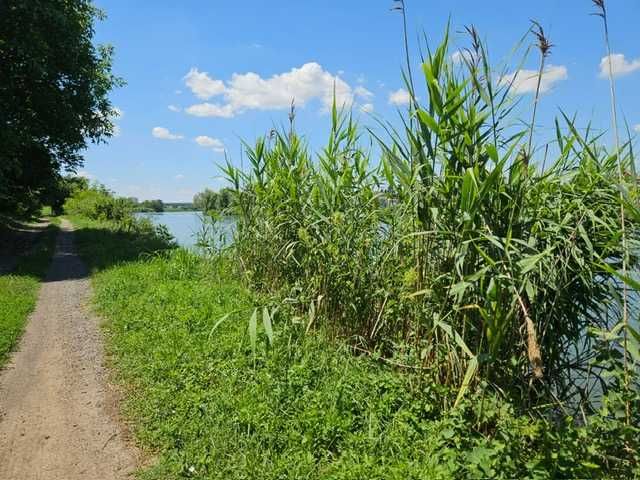 Teren de vanzare pe malul lacului in Stefanestii de Jos