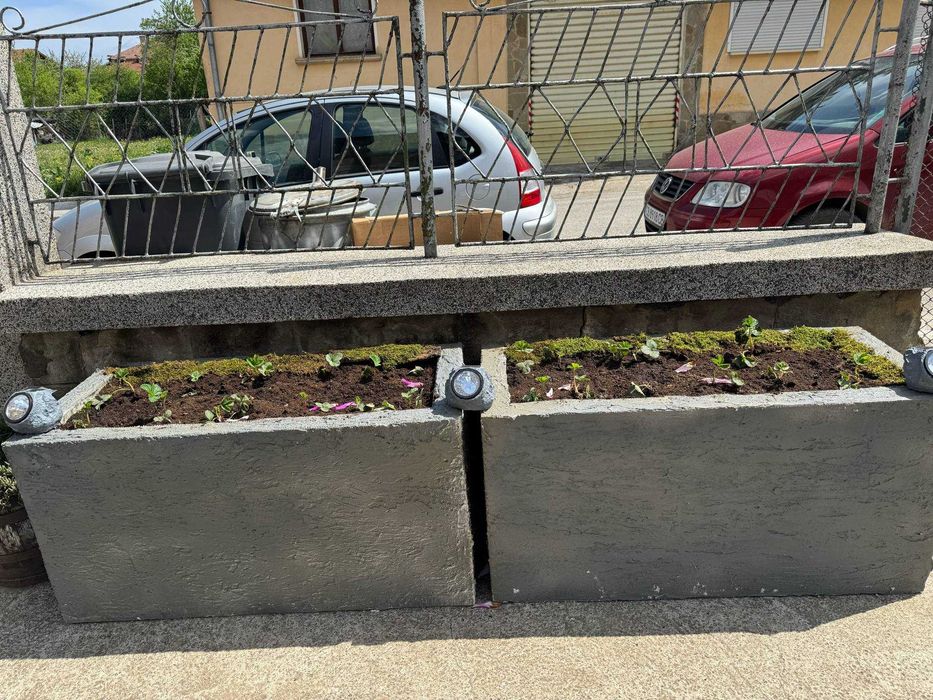 Градински саксии