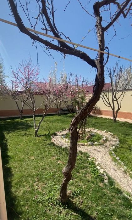 Коттедж сотилади 6 сотих ( Катта Кишлок, Жомбой )