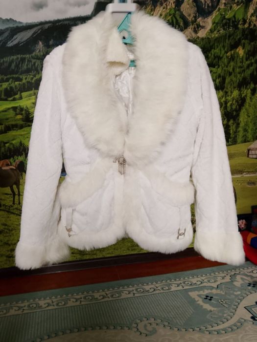 пиджак и койлектер бу