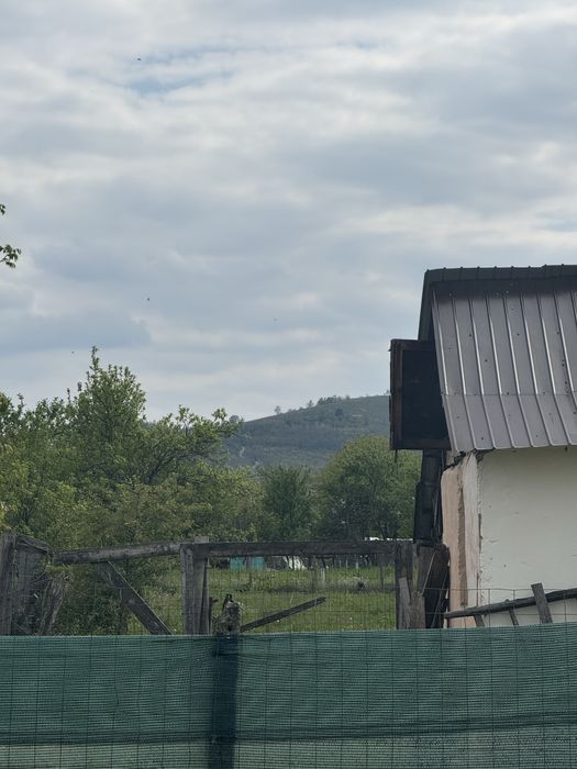 Vand casa in Maderat judetul Arad