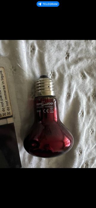 Продам комплект для рептилий