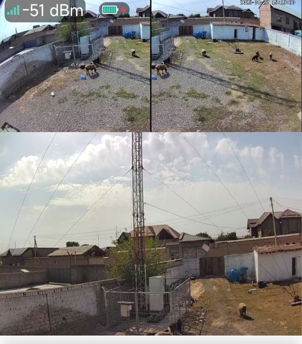 Sotiladi yoki arendaga beriladi(ozizga qoladigan) . Zangata m39 da