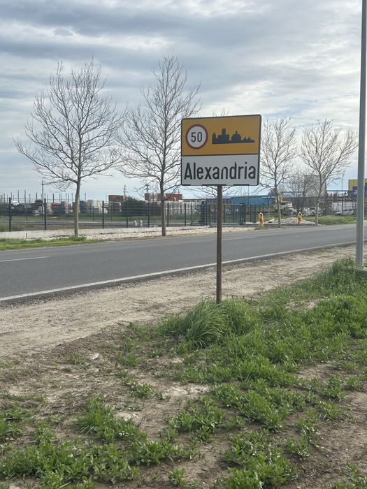 Teren extravilan Alexandria de Închiriat