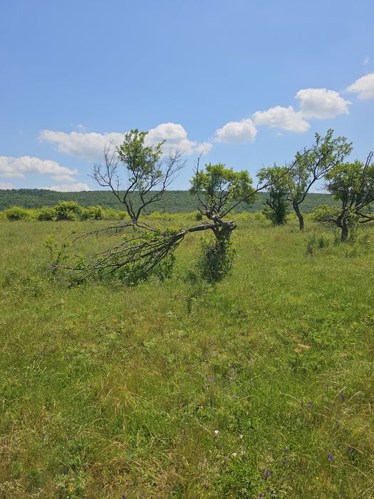 Teren EXCEPȚIONAL Colibași | Priveliște panoramică spre Pitești | Ideal casă sau investiție