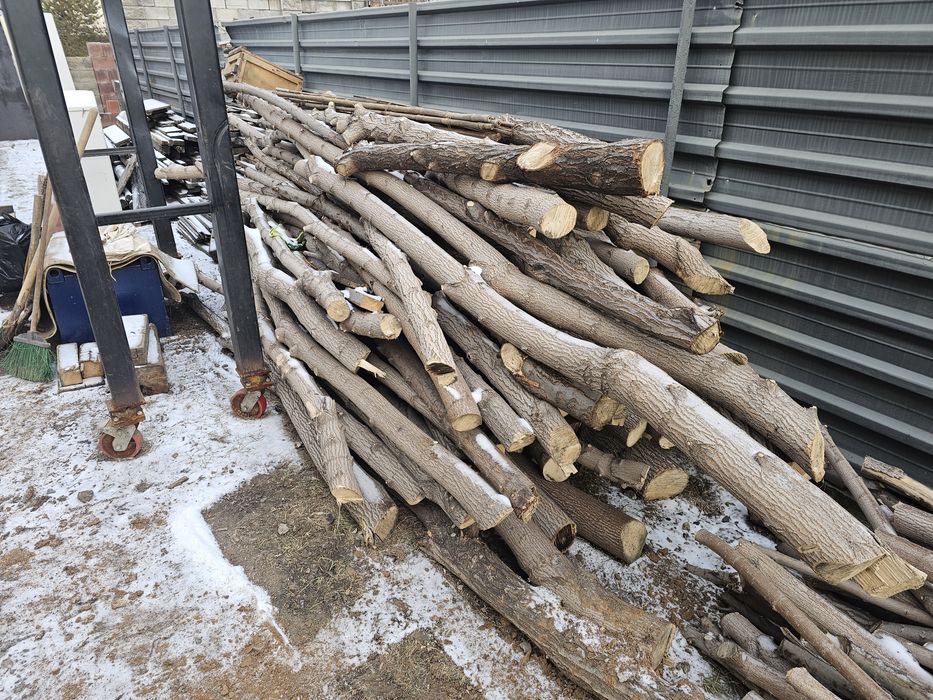 Дрова бревна клен карагач