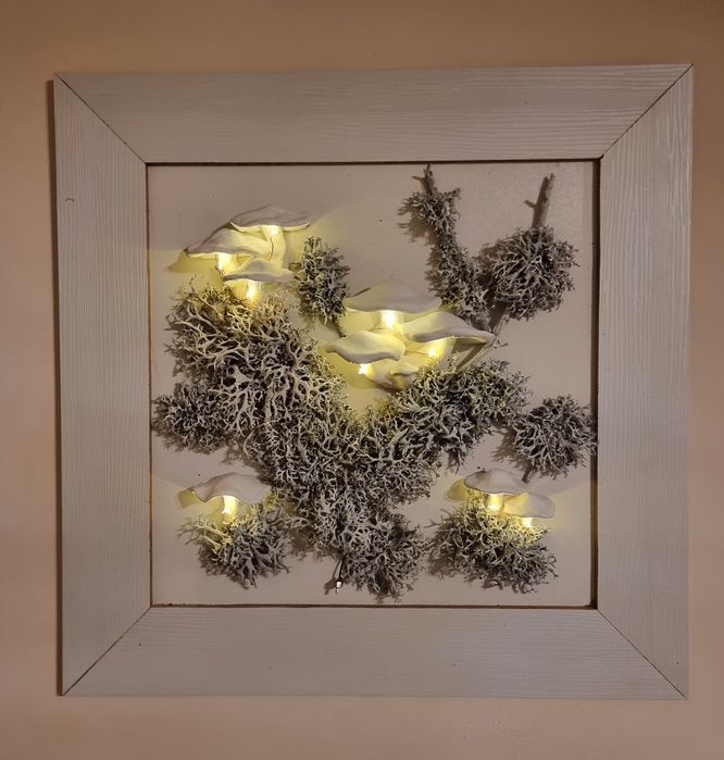 Tablou cu licheni si ciuperci din lut iluminate