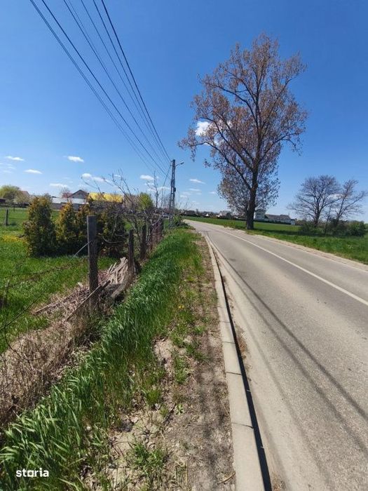 Teren intravilan, 4600mp, zona Francei, Radauti