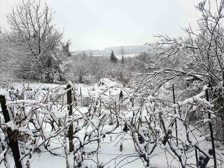 Продава се Къща в с. Горски горен Тръмбеш, Област Велико Търново - 100 кв.м за 255 €/кв.м - Снимка #16